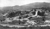 Moresby Avenue and Hollis Bush, Waihi, c 1900.